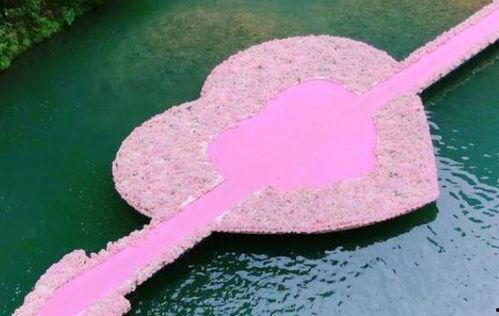 成为网红的因素,五大关键因素助力网络红人之路