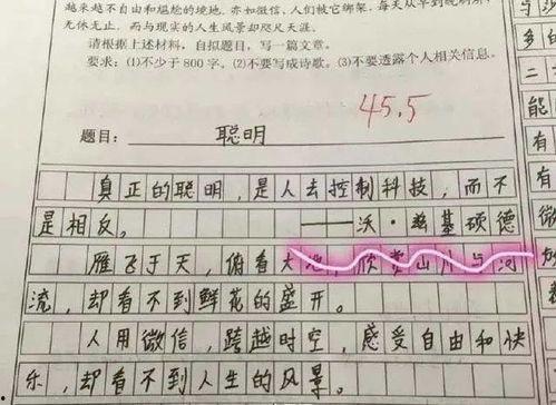 满分搞笑作文